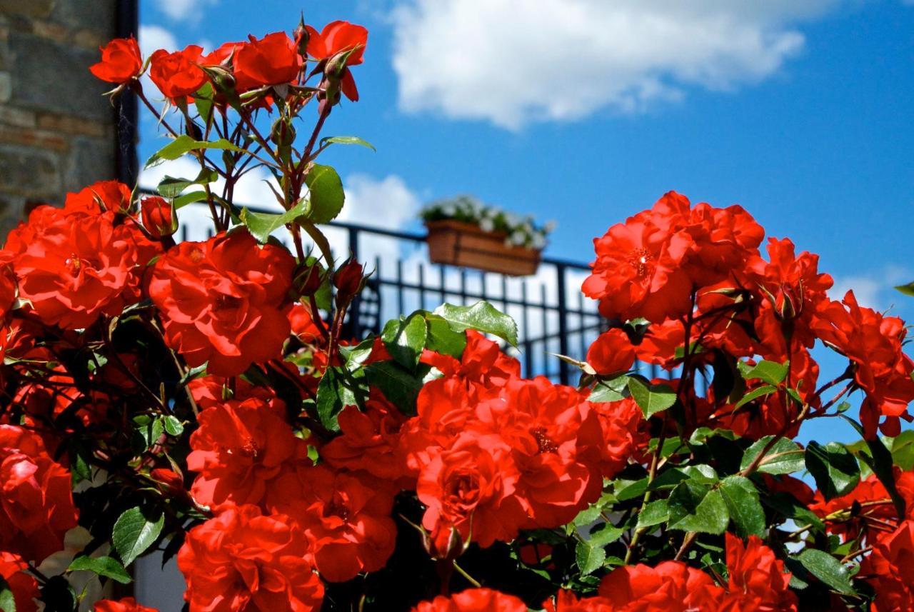 Casa Donella B&B Gricignano ภายนอก รูปภาพ